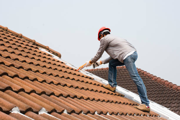 Best Steel Roofing  in Godfrey, IL